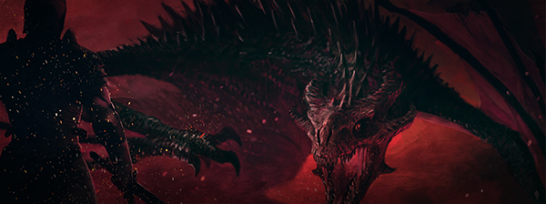 banner image 3